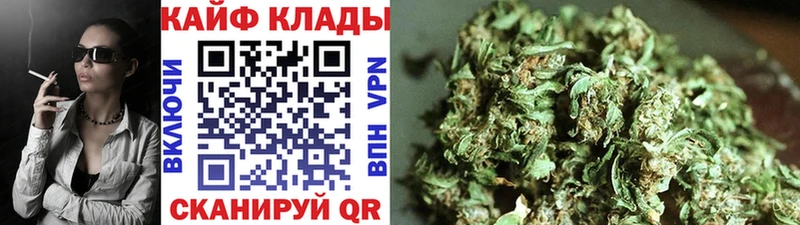 Виды наркотиков купить Киселёвск MDMA  OMG как войти  Кокаин  Alpha-PVP  ГАШИШ  Вейп ТГК 